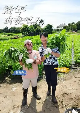今晚不散场音乐综艺在线观看